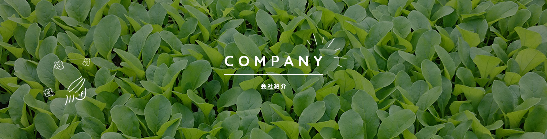 みっちゃん工房の会社紹介